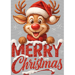 Christmas-ADJ 11559